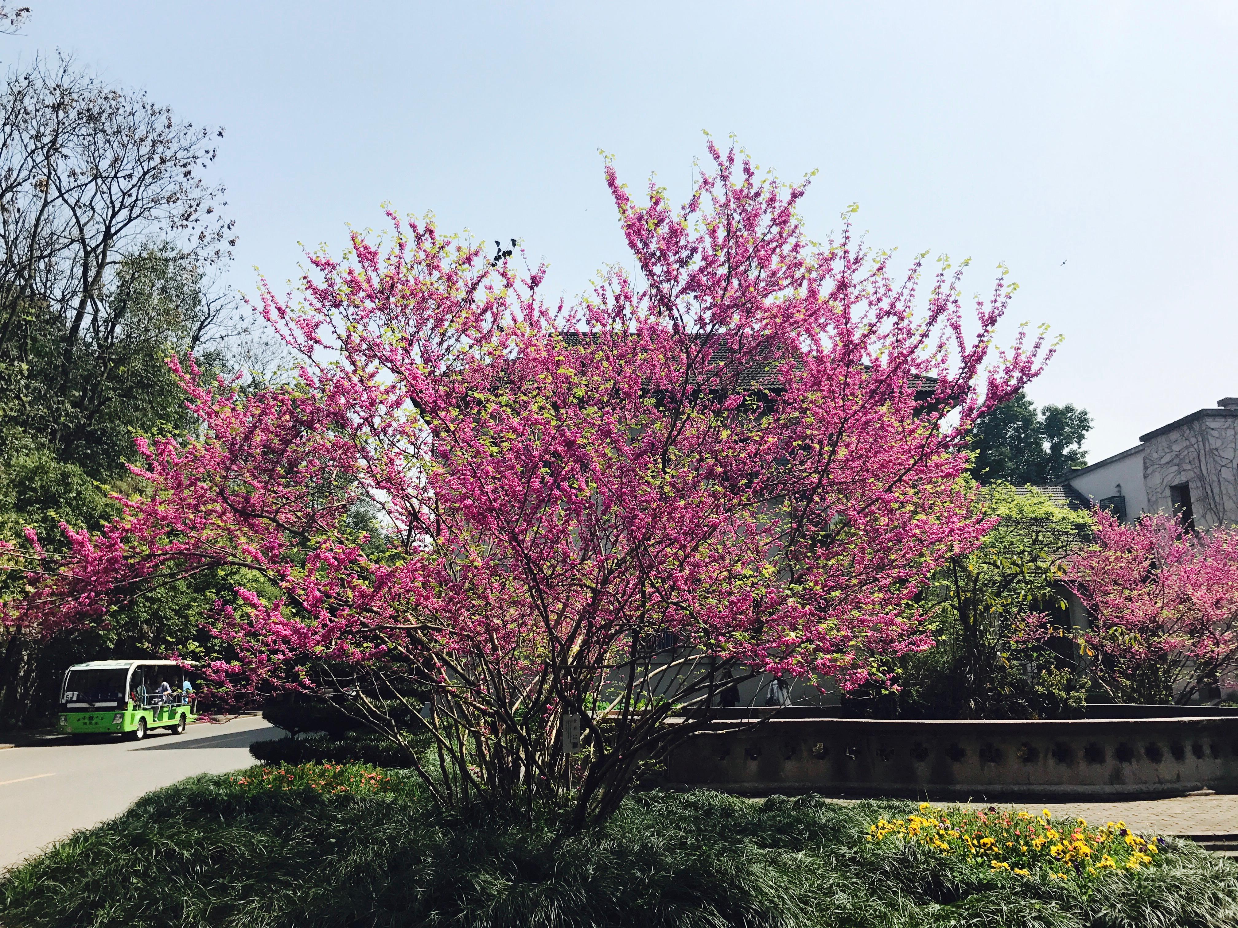 �������ഺ������չʾ�ഺ��ɡ���ְ����Ӱ��������Ʒ������